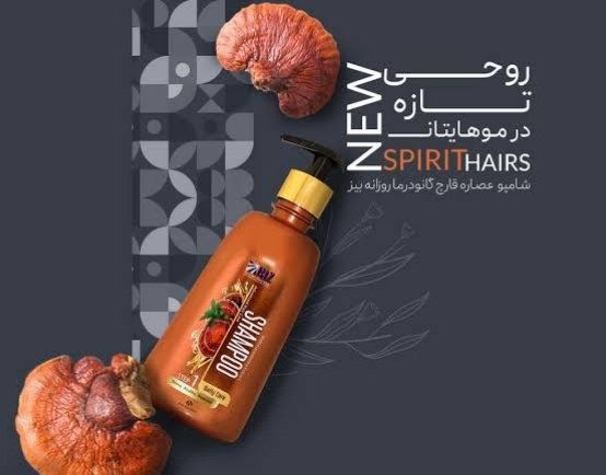 شامپو عصاره قارچ گانودرما – روزانه